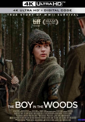 [4K电影] 林中男孩 (2024) The Boy in the Woods / The.Boy.in.the.Woods.2024.2160p.WEB.H265