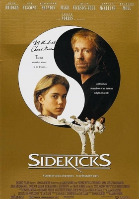 [4K蓝光原盘] 无敌战将 (1992)  Sidekicks / Sidekicks.1992.2160p.BluRay.REMUX.HEVC.DTS-HD.MA.2.0