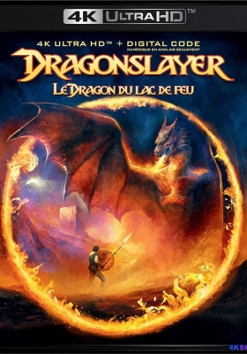 [4K蓝光原盘] 屠龙记 (1981) Dragonslayer / Dragonslayer.1981.2160p.BluRay.HEVC.TrueHD.7.1.Atmos