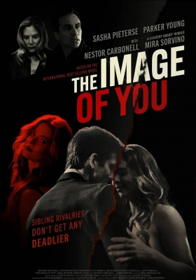 [4K电影] 一模一样 (2024) The Image Of You / 姐妹如一 / The.Image.of.You.2024.2160p.AMZN.WEB-DL.DDP5.1.H.265