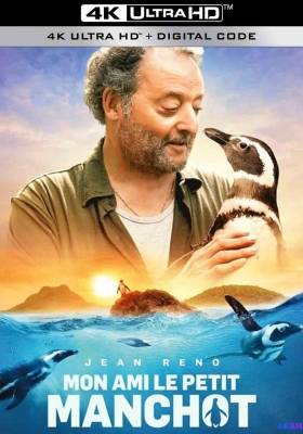[4K电影] 企鹅与渔夫 (2024) My Penguin Friend / The Penguin & The Fisherman / My.Penguin.Friend.2024.2160p.WEB-DL.DDP5.1.SDR.H265