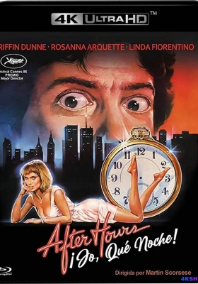 [4K蓝光原盘] 下班后 (1985) After Hours / 业余时间 / 八小时之外 / After.Hours.1985.2160p.UHD.Blu-ray.DoVi.HDR10.HEVC.LPCM.1.0