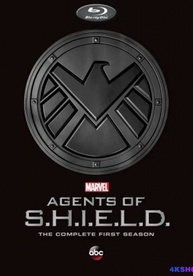 [蓝光剧集] 神盾局特工 第一季 (2013) Agents of S.H.I.E.L.D. Season 1 /  神盾局特工 第一季 / 神盾特工 / 神盾局 / Marvel's Agents of S.H.I.E.L.D. / Marvels.Agents.of.S.H.I.E.L.D.S01.1080p.BluRay.REMUX.AVC.DTS-HD.MA.5.1
