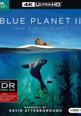 [4K蓝光原盘 纪录片] 蓝色星球2 (2017) Blue Planet II / 蓝色星球 第二季 / Blue.Planet.II.2017.S01.2160p.BluRay.REMUX.HEVC.DTS-HD.MA.5.1
