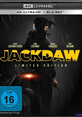 [4K蓝光原盘] 寒鸦 (2024) Jackdaw / Jackdaw.2023.2160p.GER.UHD.Blu-ray.HEVC.DTS-HD.MA 5.1