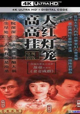 [4K剧集] 大红灯笼高高挂 第一季 (1992) Red Lantern Hanging High Season 1 / 庭院深深 / Red.Lantern.Hanging.High.S01.1992.2160p.WEB-DL.H265.AAC5.1
