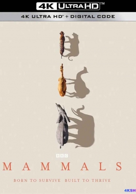 [4K纪录片] 哺乳动物星球 第一季 (2024) Mammals / Mammals.2024.S01.2160p.iP.WEB-DL.AAC2.0.HLG.HEVC