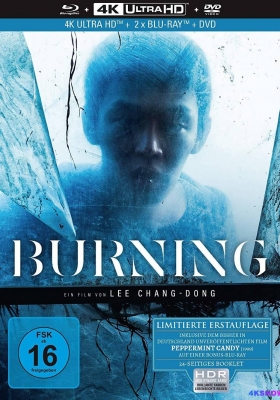 [4K蓝光原盘] 燃烧 (2018) Burning / 燃烧烈爱(台) / 烧仓房(原著) / 烧失乐园(港) / Beoning / Beoning.2018.2160p.GER.UHD.BluRay.HEVC.DTS-HD.MA.5.1