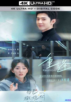 [4K剧集] 白色橄榄树 第一季 (2025) The White Olive Tree Season 1 / 李瓒与宋冉的中场战事 / The.White.Olive.Tree.S01.2025.2160p.EDR.WEB-DL.DDP5.1.H265