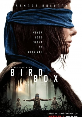 [4K电影] 蒙上你的眼 (2018)  Bird Box / 鸟箱 / 鸟舍 / Bird.Box.2018.2160p.NF.WEB-DL.x265.10bit.SDR.DDP5.1.Atmos