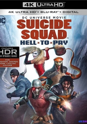 [4K蓝光原盘] 自杀小队：严厉惩罚 (2018)  Suicide Squad: Hell to Pay / 自杀小队：惨痛代价 / Suicide.Squad.Hell.to.Pay.2018.2160p.BluRay.REMUX.HEVC.DTS-HD.5.1