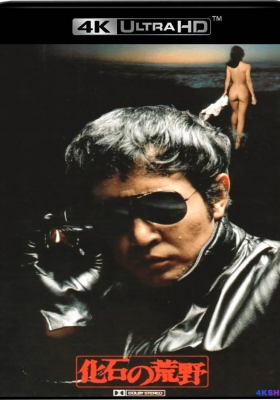 [4K蓝光原盘] 化石的荒野 (1982) Fossilized Wilderness / Kaseki no kouy / Fossilized.Wilderness.1982.2160p.UHD.Blu-ray.HEVC.LPCM.4.0