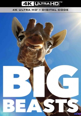 [4K纪录片] 巨兽 (2023) Big Beasts / 大动物大不易 / Big.Beasts.S01.2023.2160p.ATVP.WEB-DL.DDP5.1.Atmos