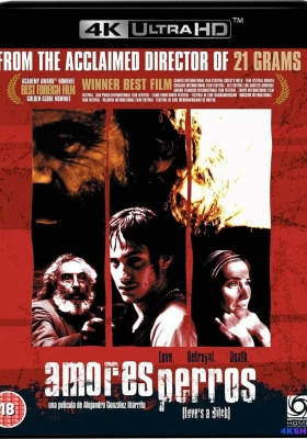 [4K电影] 爱情是狗娘 (2000) Amores perros / 爱情是母狗 / 爱是一条狗(台) / 狗男女的爱(港) / 人、爱、狗 / Loves a Bitch / Amores.Perros.2000.SPANISH.2160p.WEB-DL.DTS-HD.MA.5.1.DV.MKV.x265