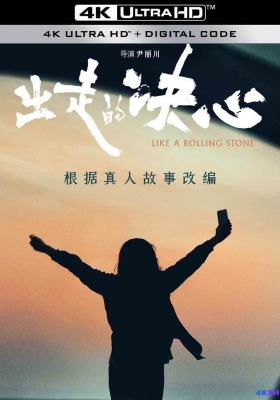 [4K电影] 出走的决心 (2024)  Like A Rolling Stone / 婚姻往事 / 亲爱的妈妈 / Like.a.Rolling.Stone.2024.2160p.WEB-DL.DDP5.1.H265.DV