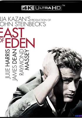 [4K蓝光原盘] 伊甸园之东 (1955) East of Eden / 荡母痴儿 / 天伦梦境 / 天伦梦觉 / 伊甸之东 / 东方伊甸园 / East.of.Eden.1955.2160p.UHD.Blu-ray.HEVC.TrueHD.7.1