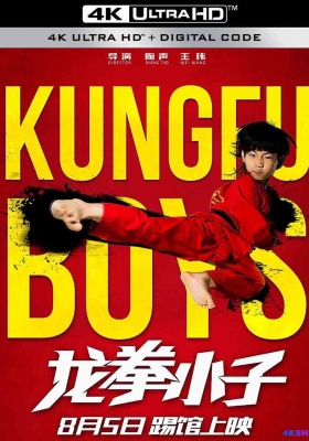 [4K电影] 龙拳小子 (2016) Kungfu Boys / Kungfu.Boys.2016.2160p.WEB-DL.DDP2.0.H265