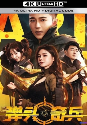 [4K电影] 弹头奇兵 (2024) Art of War / Art.of.War.2024.2160p.HQ.WEB-DL.H265.60fps.AAC