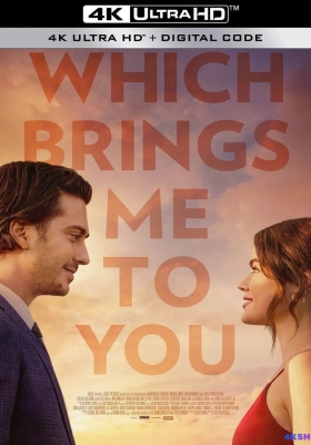 [4K电影] 这让我想到了你 (2023)  Which Brings Me to You / Which.Brings.Me.to.You.2023.2160p.AMZN.WEB-DL.DDP5.1.H.265