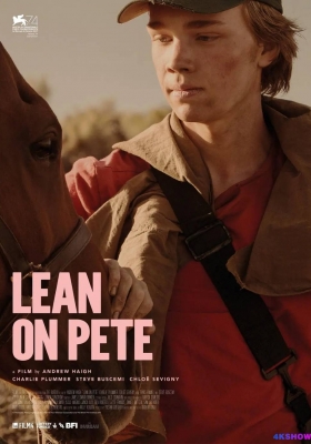 [4K电影] 赛马皮特 (2017) Lean on Pete / Lean.on.Pete.2017.2160p.WEB-DL.DD5.1.DV.MP4.x265