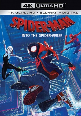 [4K蓝光原盘][蓝光3D] 蜘蛛侠：平行宇宙 (2018) Spider-Man: Into the Spider-Verse / 蜘蛛人：新宇宙(台)/蜘蛛侠：平行世界 / 蜘蛛侠：跳入蜘蛛宇宙(港)/蜘蛛侠：新纪元/ Spider-Man.Into.the.Spider-Verse.2018.2160p.BluRay.HEVC.TrueHD.7.1.Atmos