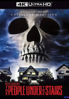 [4K蓝光原盘] 阶梯下的恶魔 (1991) The People Under the Stairs / 楼下亡魂 / 饿鬼之家 / The.People.Under.the.Stairs.1991.2160p.BluRay.REMUX.HEVC.DTS-HD.MA.5.1