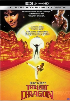 [4K蓝光原盘] 龙拳小子 (1985) The Last Dragon / Berry Gordys The Last Dragon / 最后的猛龙 /