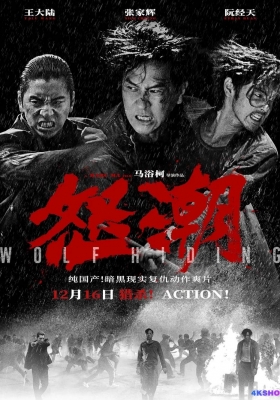 [4K电影] 怒潮 (2023) Wolf Hiding / 本色 / 新秩序 / 天地新秩序 / Wolf.Hiding.2023.2160p.WEB-DL.H265.DV.DDP5.1.Atmos
